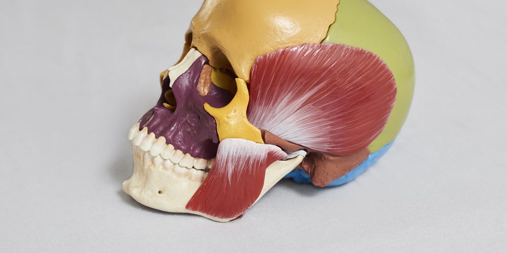 craniosacral-therapie-9