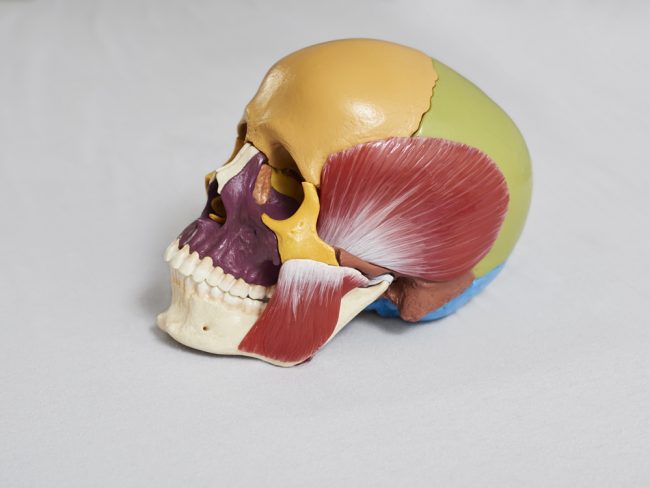 craniosacral-therapie-9