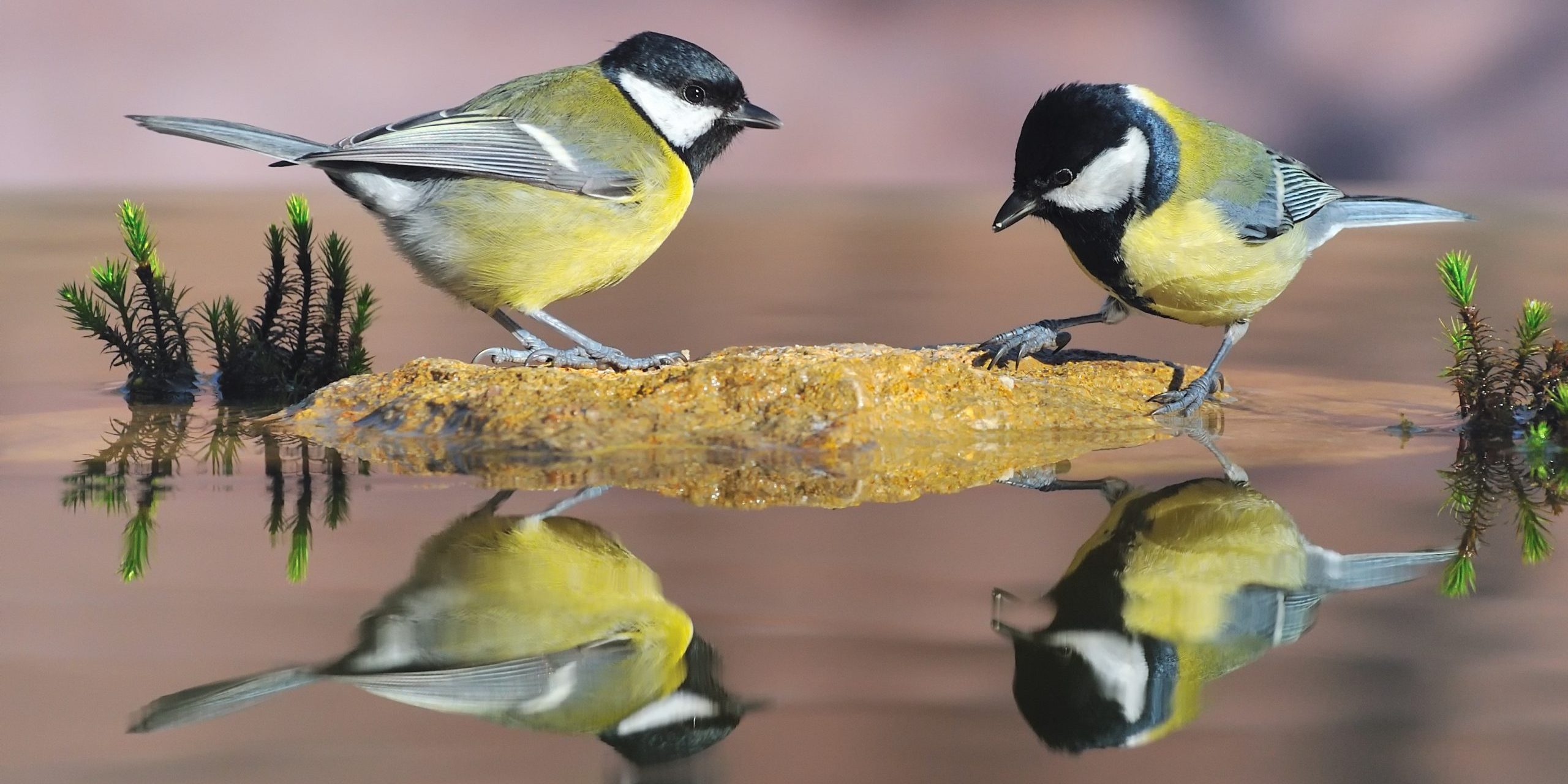 canstockphoto13844972