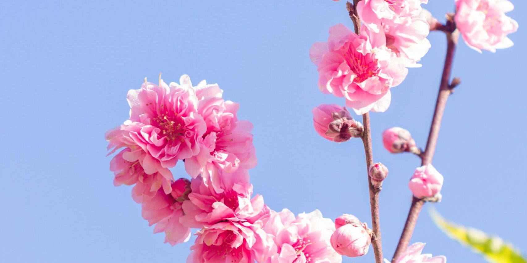 canstockphoto40413259