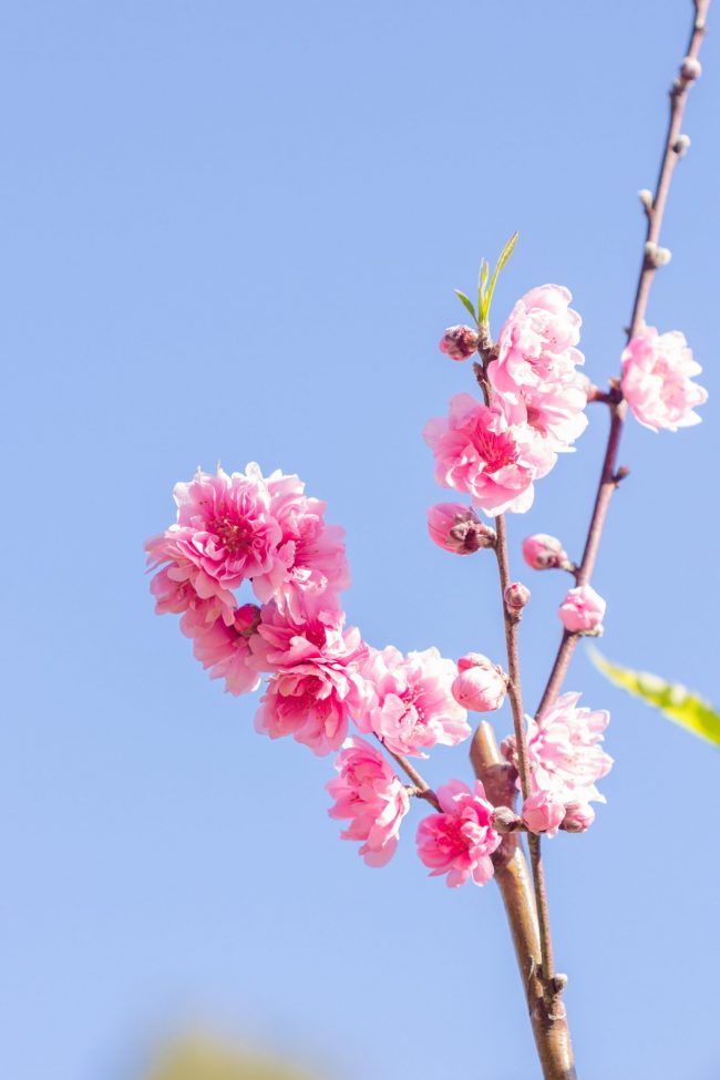 canstockphoto40413259