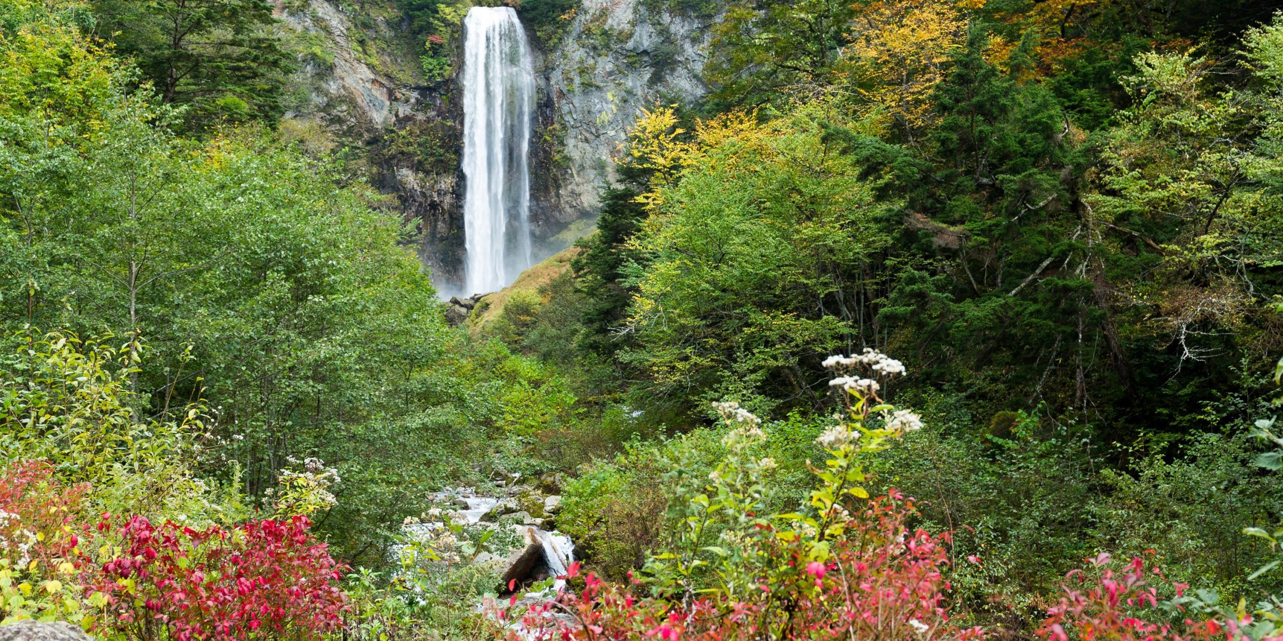 canstockphoto49435717